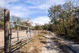 12404 Dolquieb Lane - Photo 48