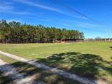 17609 Bledsoe Loop - Photo 2