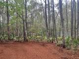  West Drive - Photo 6