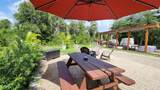 410 Longhorn Drive - Photo 6
