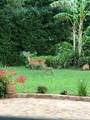 2 Laura Court - Photo 22