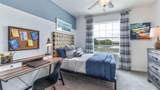 32599 Turtle Grace Loop - Photo 11