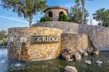 30715 Tumbleberry Street - Photo 47