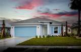 573 Rose Apple Circle - Photo 1
