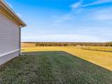 36511 Frazee Hill Road - Photo 74