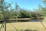 16843 Forge Surf Street - Photo 2