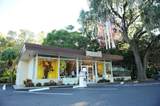2200 22ND Avenue - Photo 2