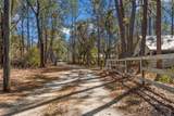 19256 Hidden Oaks Drive - Photo 63