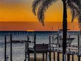4419 Bayshore Boulevard - Photo 83