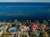 4419 Bayshore Boulevard - Photo 93