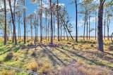 6405 Five Acre Road - Photo 3