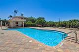2825 Terra Ceia Bay Boulevard - Photo 51