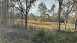  Kelly Ridge Road - Photo 4