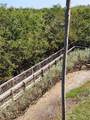 4801 Osprey Drive - Photo 62