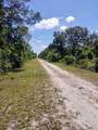 2810 Ixora Drive - Photo 4