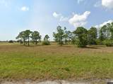 12151 Paddlefish Ct - Photo 1