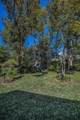 11427 Turtle Dove Place - Photo 51