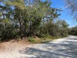34085 Arrowrock Street - Photo 3