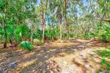 13450 Wilcox Road - Photo 42