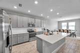 8816 Mugnai Street - Photo 15