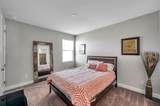 8816 Mugnai Street - Photo 40