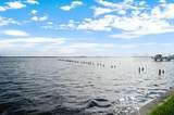 5010 Bayshore Boulevard - Photo 16