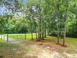 13026 Williston Road - Photo 7
