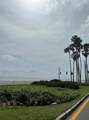 5231 Bayshore Boulevard - Photo 25