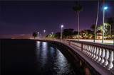 5231 Bayshore Boulevard - Photo 29