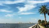 5231 Bayshore Boulevard - Photo 32