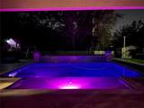 13856 Crest Lake Drive - Photo 14