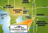 10205 Courtney Palms Boulevard - Photo 2