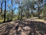 17233 Dalberg Drive - Photo 10