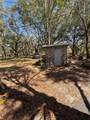 17233 Dalberg Drive - Photo 12