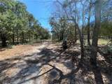 17233 Dalberg Drive - Photo 22