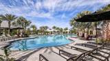 29845 Imperati Boulevard - Photo 37
