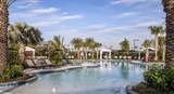 29845 Imperati Boulevard - Photo 38
