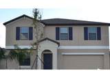 10111 Rosemary Leaf Lane - Photo 1