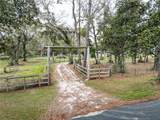 25590 Olympia Road - Photo 50