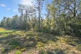 14420 Bailey Hill Road - Photo 8