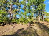 236 Pinola Avenue - Photo 5