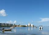 2700 Bayshore Boulevard - Photo 29
