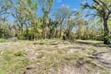 3106 Timberlee Road - Photo 10