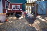 4900 J Jackson Road - Photo 85