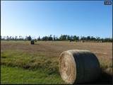  Spirit Hills - Photo 2
