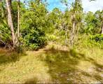  Oleander Drive - Photo 1