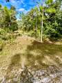 Oleander Drive - Photo 2
