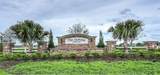 10105 Paradise Fish Drive - Photo 40