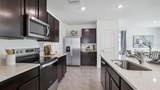 4544 Sand Dollar Way - Photo 6