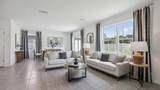 4544 Sand Dollar Way - Photo 8